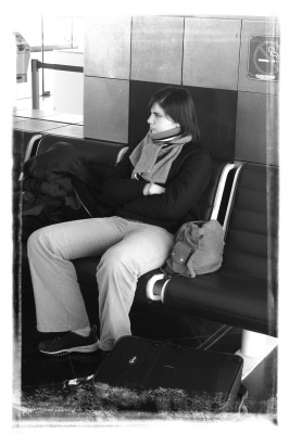 voyage nouvelle z�lande